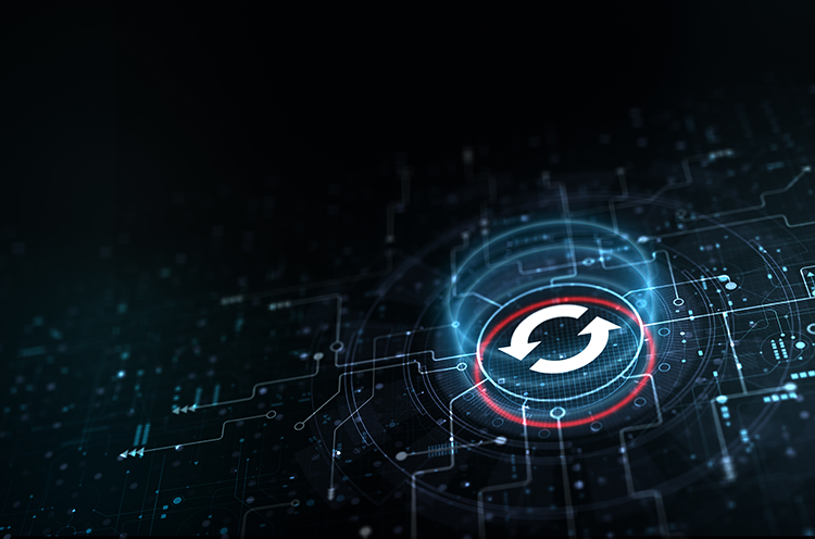 Night  Risk,Uncertainty,& Profit ナイト リスク Why Patching Cadence Matters for Cybersecurity Risk | Bitsight